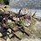 #1623-•-vintage-moldboard-plow-image-10