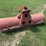 #1628-•-3-point-rear-scraper-blade-image-3