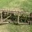 #1642-•-ferguson-tine-weeder-image-14