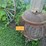 #6280-•-antique-fire-pit-image-5
