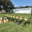 john-deere-7100-image-2
