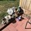 #6241-•-yard-decorations-image-8