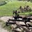 #1623-•-vintage-moldboard-plow-image-9