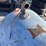#9104-•-240-gallon-air-tank-(o4)-image-2