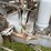 rock-island-15-25-image-23
