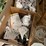 #6251-•-various-household-items-image-17