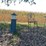 #6243-•-lawn-decorations-image-2