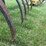#1631-•-vintage-spring-tooth-cultivator-image-9