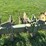 john-deere-8-image-6