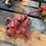 international-harvester-hydraulic-cylinders-and-parts-image-4