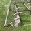 #1632-•-spring-tooth-harrow-image-14