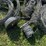 #6284-•-fencing-supplies-image-3