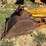 deere-410d-image-28