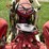 #1607-•-ferguson-tractor-image-20