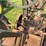 john-deere-a-image-31