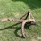 #1643-•-2-tooth-subsoil-plow-image-4