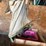 #6275-•-various-shop-items-image-7