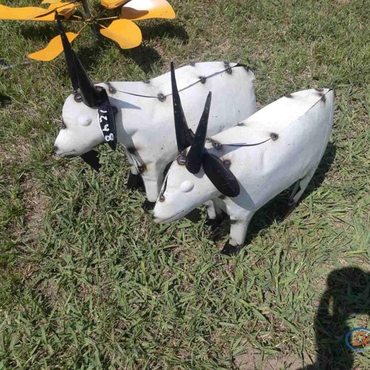 (2) BABY GOATS