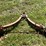 #5702-•-car-tow-image-2