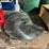 #175-•-dimter-opticut-350---4r-optimizing-cross-cut-saw-system-image-51