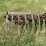 #1642-•-ferguson-tine-weeder-image-8