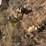 caterpillar-d399-engine-&-radiator-(spare)-skidded-image-6