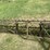 #1642-•-ferguson-tine-weeder-image-16