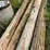 #5740-•-(4)-telephone-poles-image-4