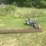 #1636-•-ford-sickle-bar-image-1