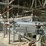 #175-•-dimter-opticut-350---4r-optimizing-cross-cut-saw-system-image-30