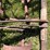 #5695-•-dearborn-drag-image-5
