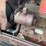 massey-harris-parts-tractor-image-4