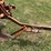#1639-•-allis-chalmers-moldboard-plow-image-14