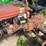 #1621-•-farmall-b-tractor-image-16