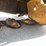 vermeer-m5040-image-11