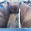 #9139-•-3-yard-dumpster-(03)-image-5