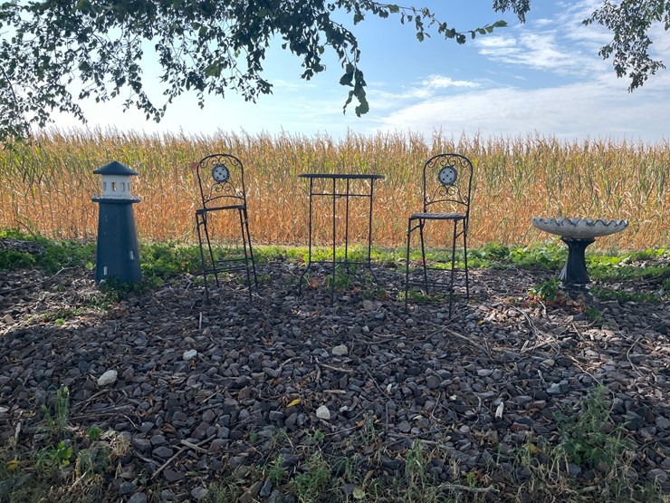 #6243-•-lawn-decorations-image-1