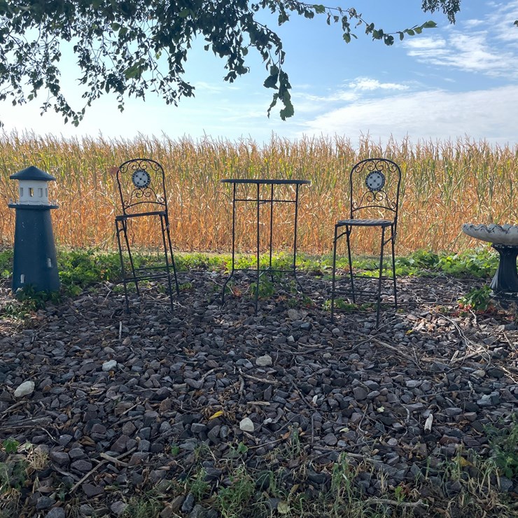 #6243 • Lawn Decorations
