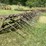 #1642-•-ferguson-tine-weeder-image-7