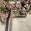#1621-•-antique-sickle-bar-image-8