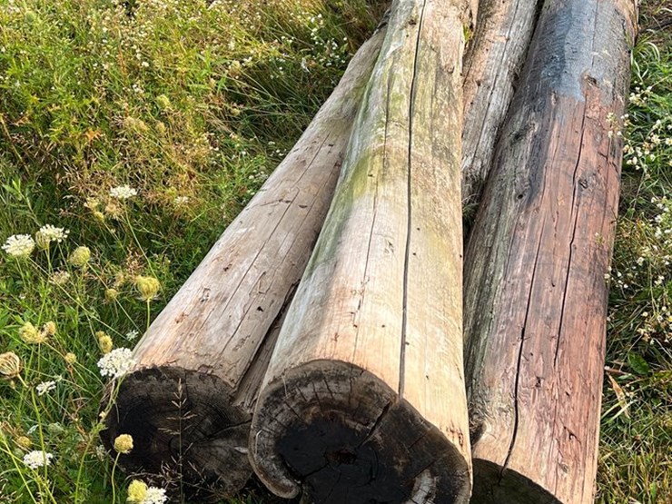 #5740-•-(4)-telephone-poles-image-2