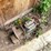 #1657-•-liquid-fertilizer-manifold-image-2
