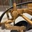 international-412-image-9