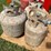 #1663-•-(3)-propane-tanks-image-3