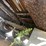 #10501-•-2016-delta-gooseneck-flatbed-(has-wi-title)-image-40