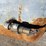 #9104-•-240-gallon-air-tank-(o4)-image-6