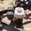 wylie-double-cone-6000-gal-storage-tanks-on-packhorse-image-11