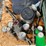 miller-12-image-9
