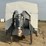 2014-john-deere-4045t-image-2