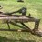 #1634-•-vintage-spring-tooth-plow-image-16